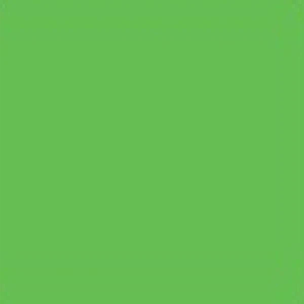 Couleurs d'impression du rouleau en céramique vert